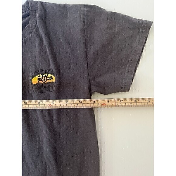 Blue Timber Boys Size Small Grey Joshua Tree Cotton Graphic T-Shirt Short Sleeve - Picture 4 of 5